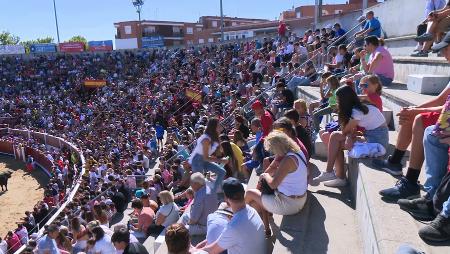 Imagen Colorido ambiente festivo en la capea de toros y vaquillas cada mañana...