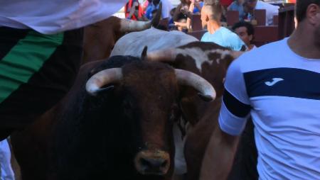 Imagen Vistoso y emocionante segundo encierro de Sanse 2019