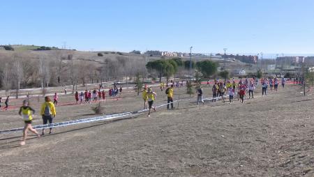 Imagen Miles de corredores participan en el Cross de Sanse 2018