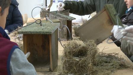 Imagen El Centro de Naturaleza organizará una jornada ornitológica para...