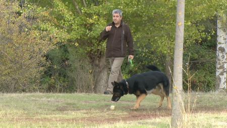 Imagen El domingo se celebrará un canicross contra el maltrato de perros