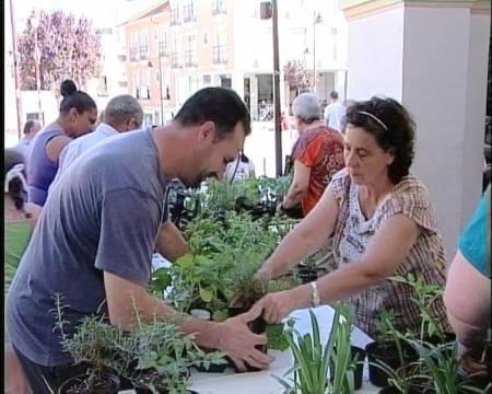 Imagen ACOM volvió a regalar plantas en Sanse para celebrar el Día del Medio...