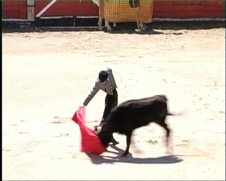 Imagen Sanse acogerá la final del IV Certamen de Escuelas Taurinas de la...