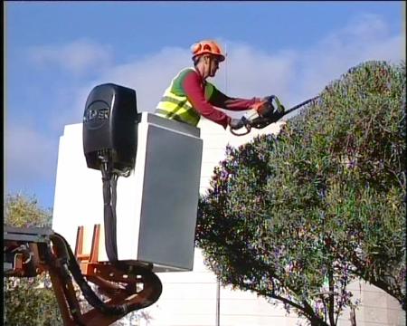 Imagen Sanse transforma los restos vegetales de la poda urbana en abono orgánico