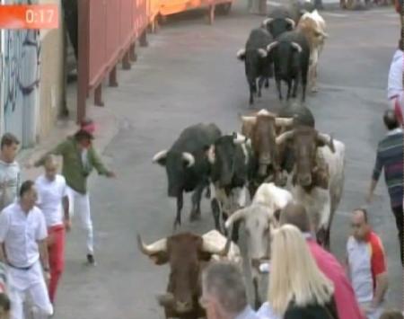 Imagen Cuarto encierro de San Sebastián de los Reyes con toros para rejones de...