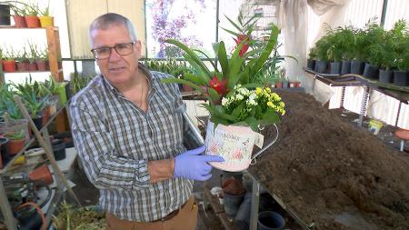 Imagen Vivero y taller de jardinería, el secreto mejor guardado de la...