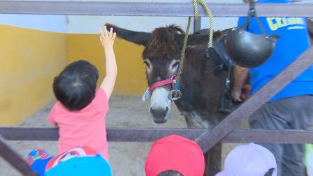 Imagen De excursión a la granja-escuela con las y los más peques de Sanse