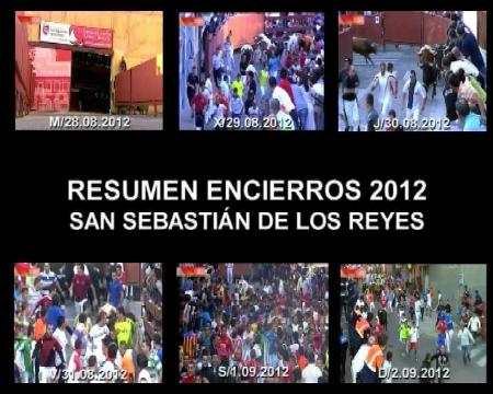 Imagen Resumen de los Encierros de Sanse 2012