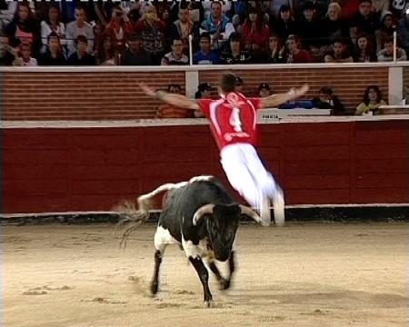 Imagen Riesgo y espectáculo unidos en el Concurso Nacional de Recortadores