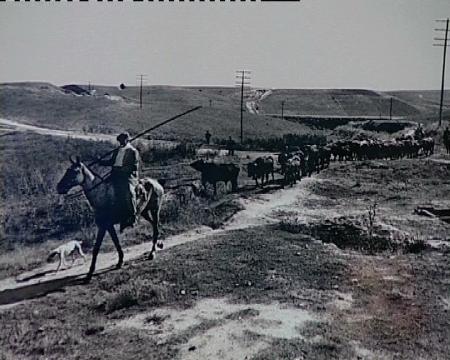 Imagen La historia de Sanse a través de la fotografía