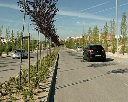 Imagen Abiertos los principales viales de Tempranales