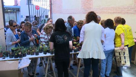 Imagen El Ayuntamiento y ACOM repartieron más de 2.000 plantas en el Día del...