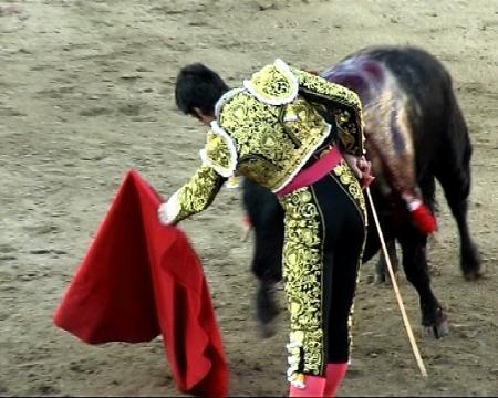 Imagen Sanse inicia una recogida de firmas para convertir los toros en Bien de...