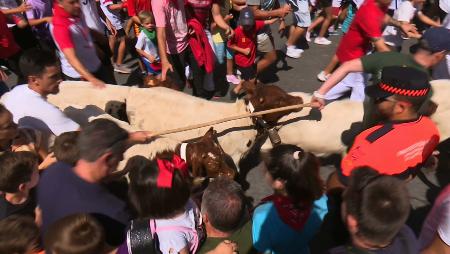 Imagen La Trashumancia Infantil protagoniza la primera mañana de fiestas