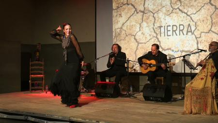 Imagen “Tierra”, un viaje sensorial entre el baile y la música flamenca