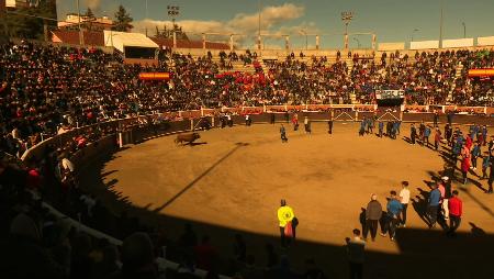 Imagen Conciertos, capea y actividades infantiles durante el fin de semana en...