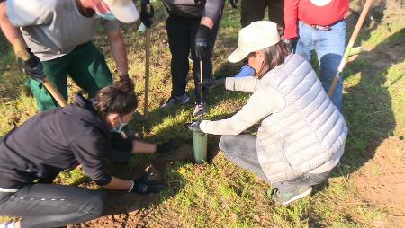 Imagen Jornada de reforestación y responsabilidad corporativa en el Centro de...