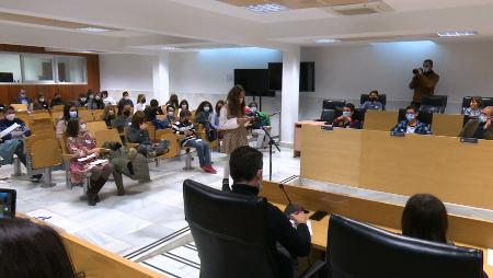 Imagen El Pleno infantil protagoniza la XIII Semana de la Infancia en Sanse